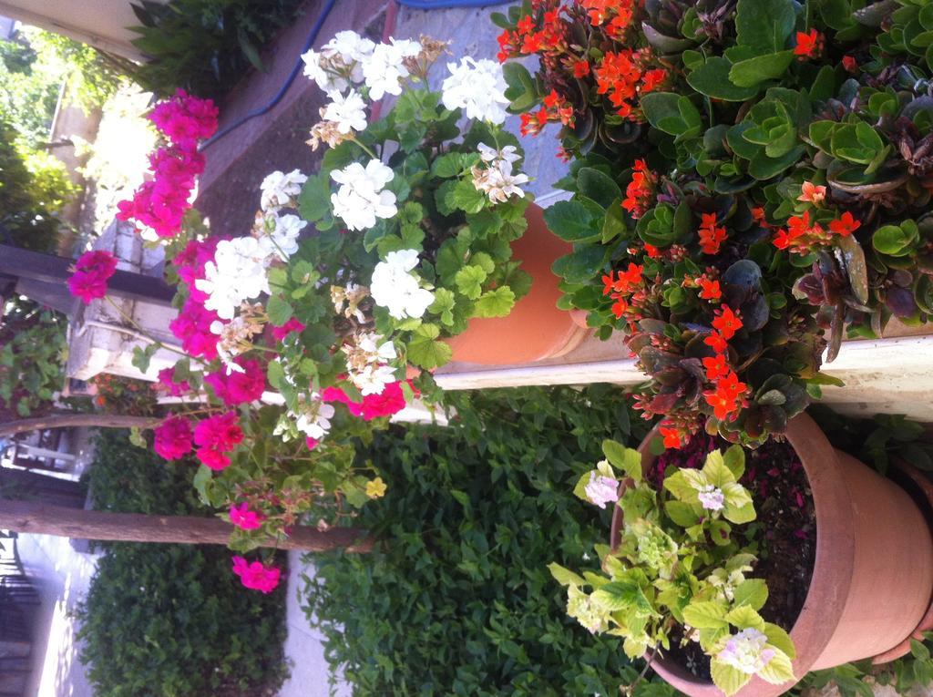 פאטהיה Besik Hotel מראה חיצוני תמונה