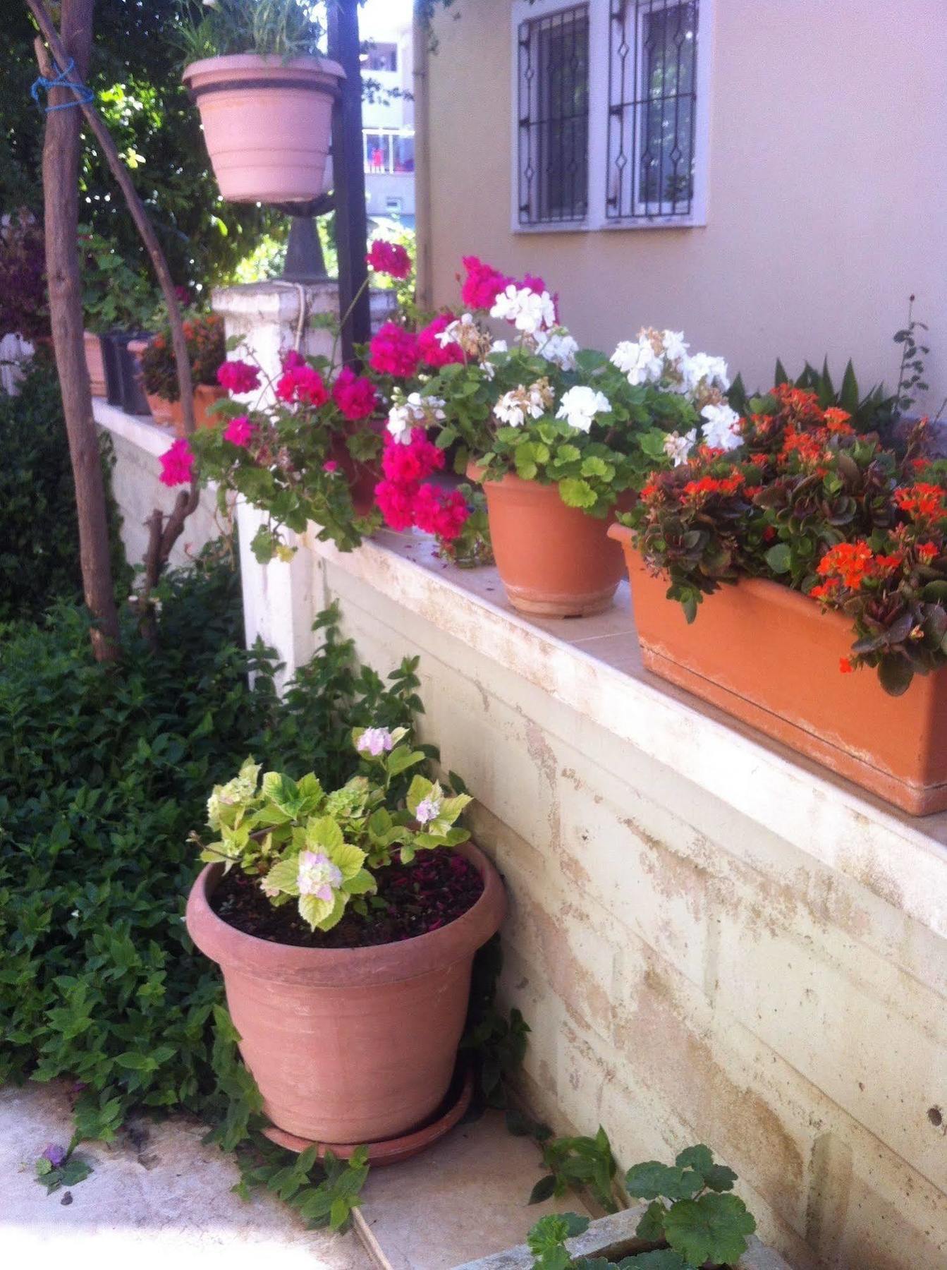 פאטהיה Besik Hotel מראה חיצוני תמונה